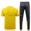 BVB Borussia Dortmund Trainings Poloshirt 2022-23 Gelbe Für Herren